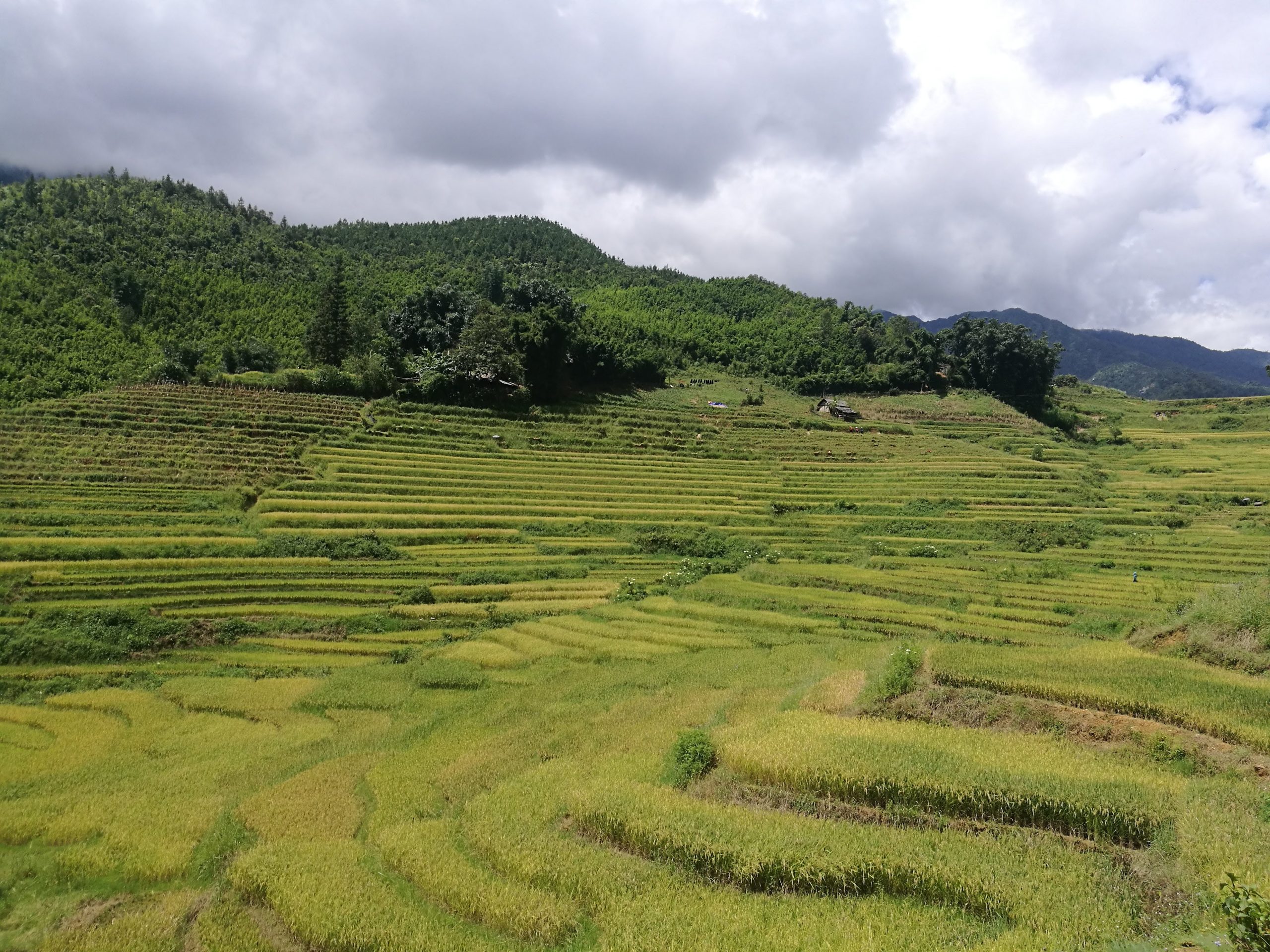 que-visitar-vietnam