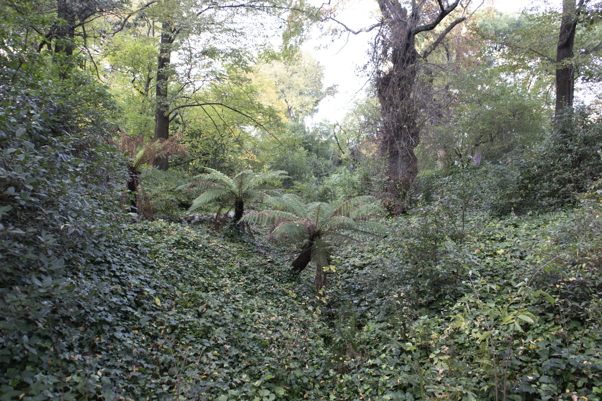 parque-del-capricho-madrid