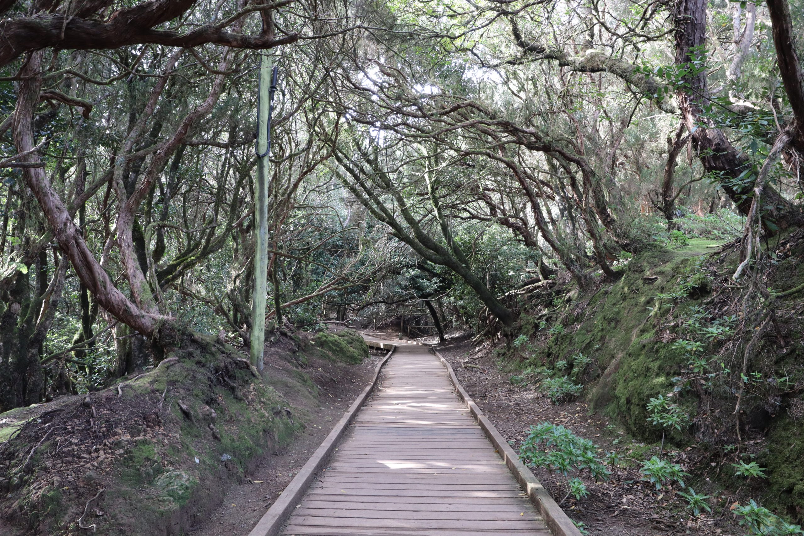 parque-rural-anaga-tenerife