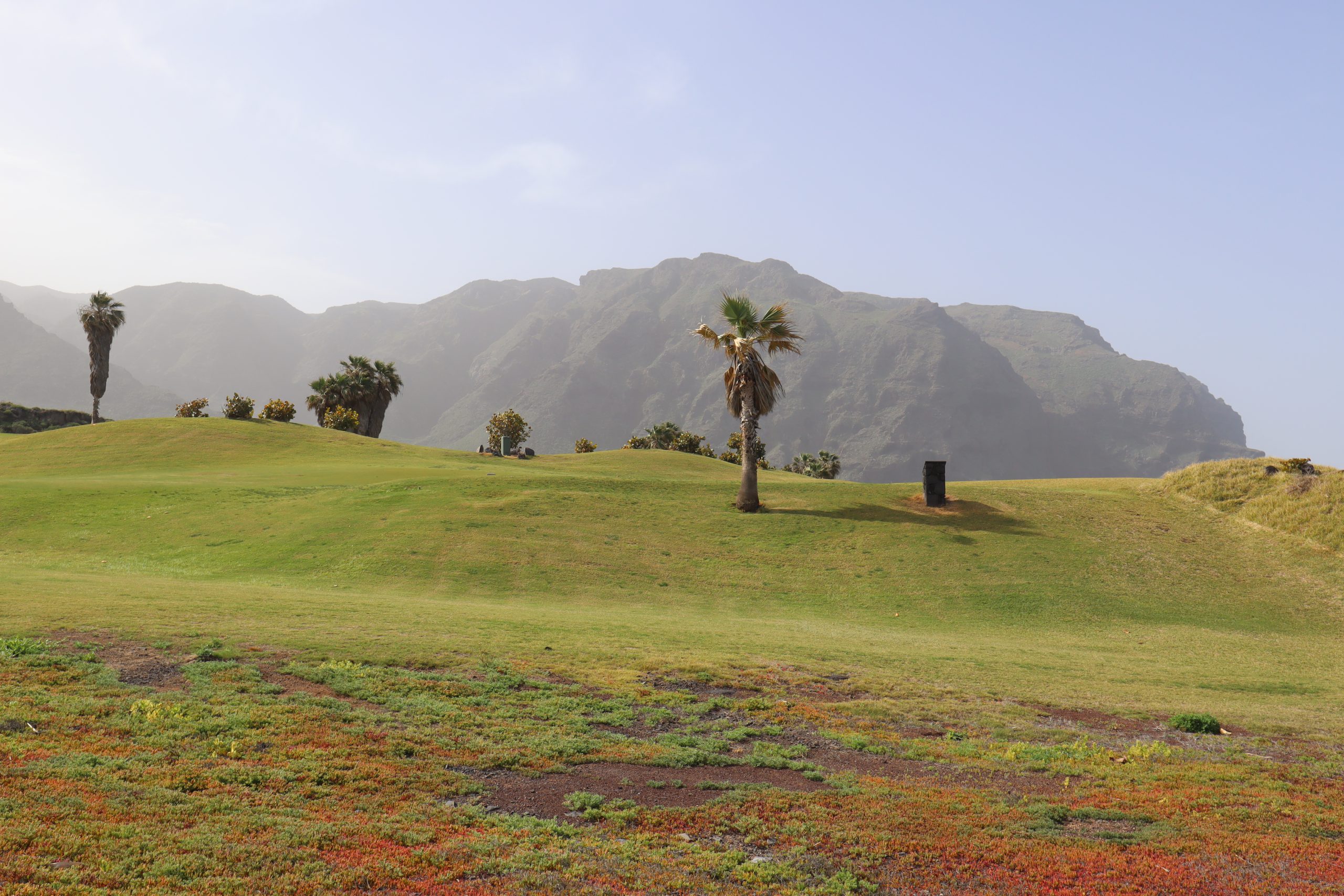 golf-Buenavista-del-norte