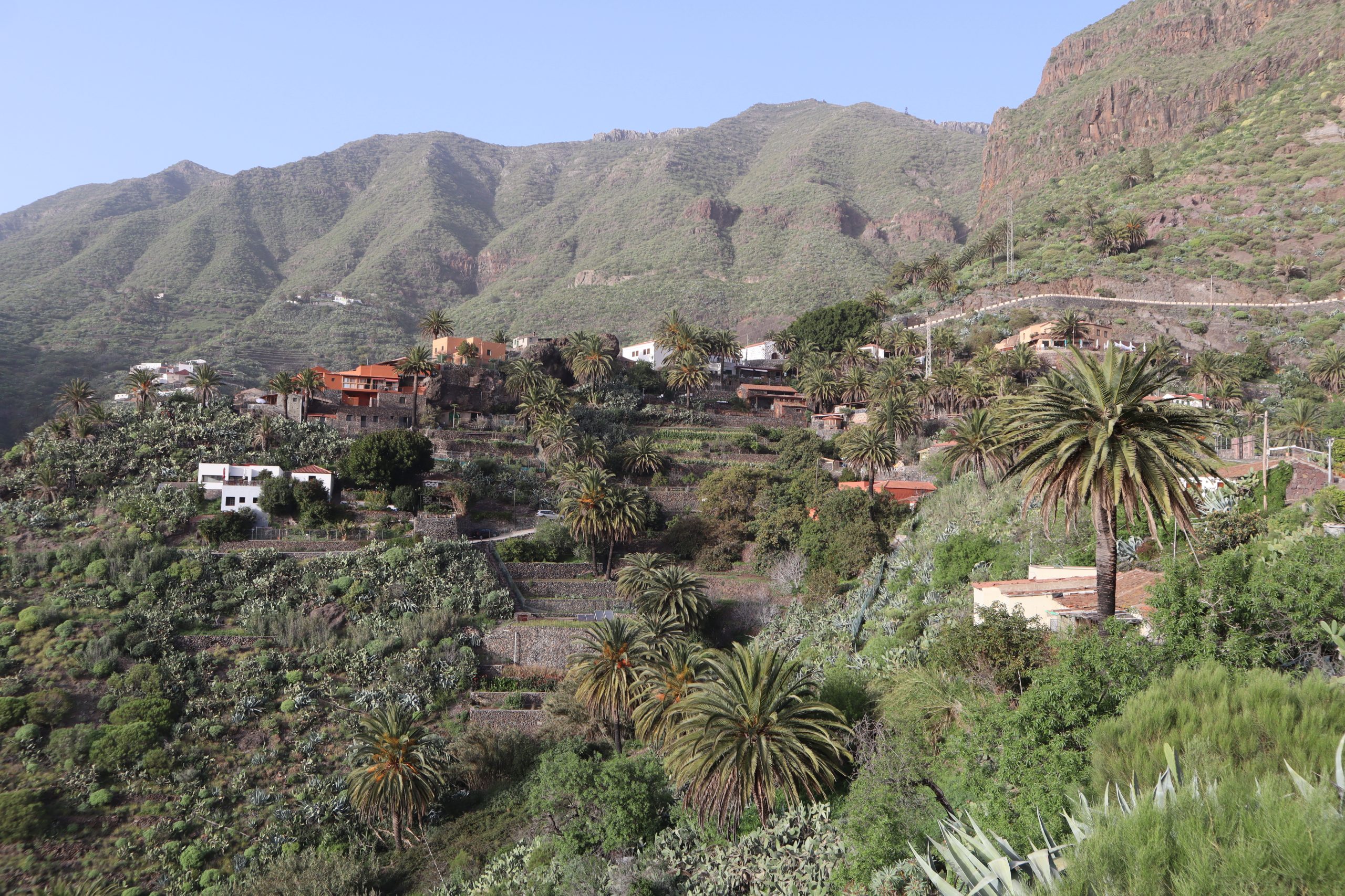 masca-tenerife