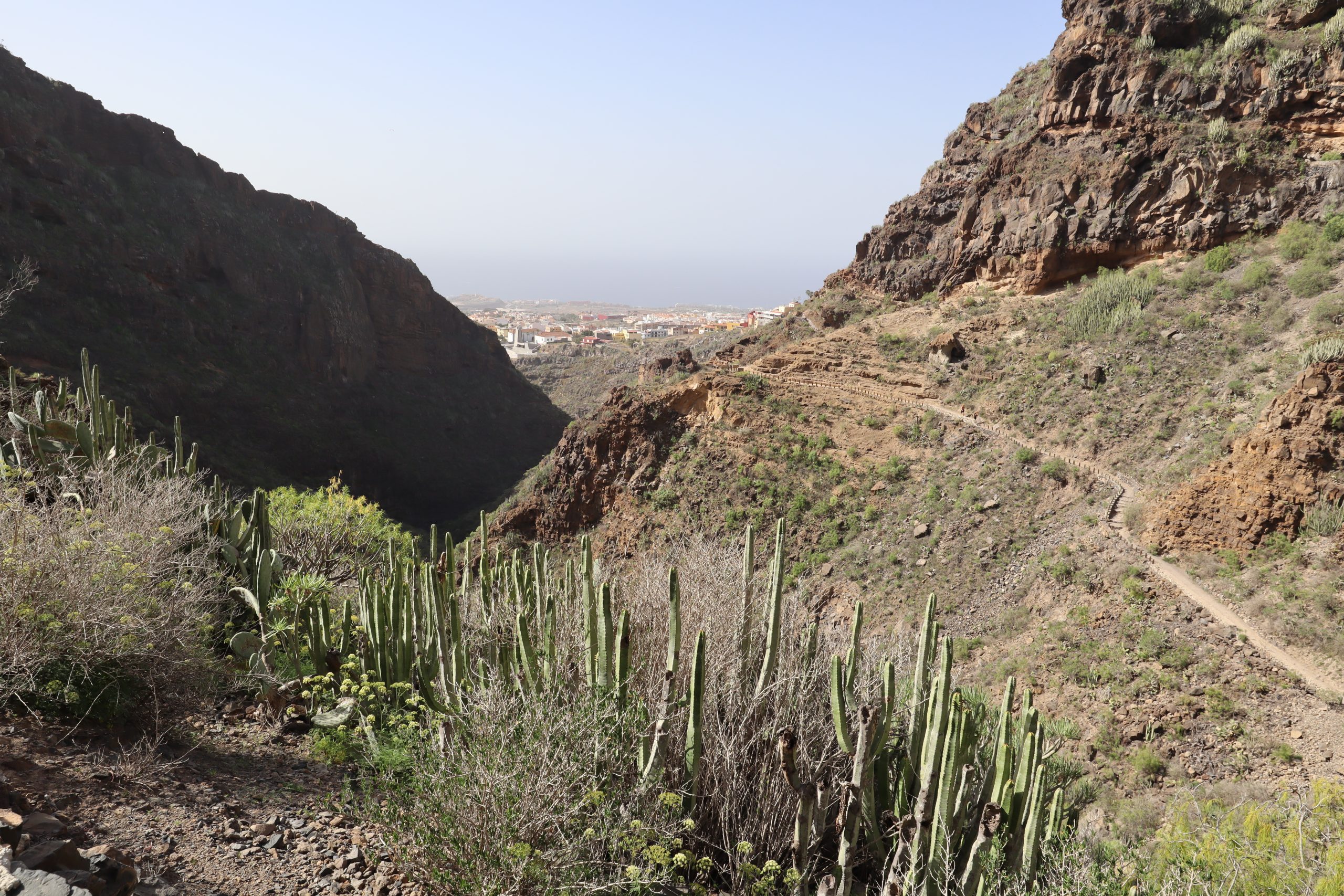 adeje-tenerife