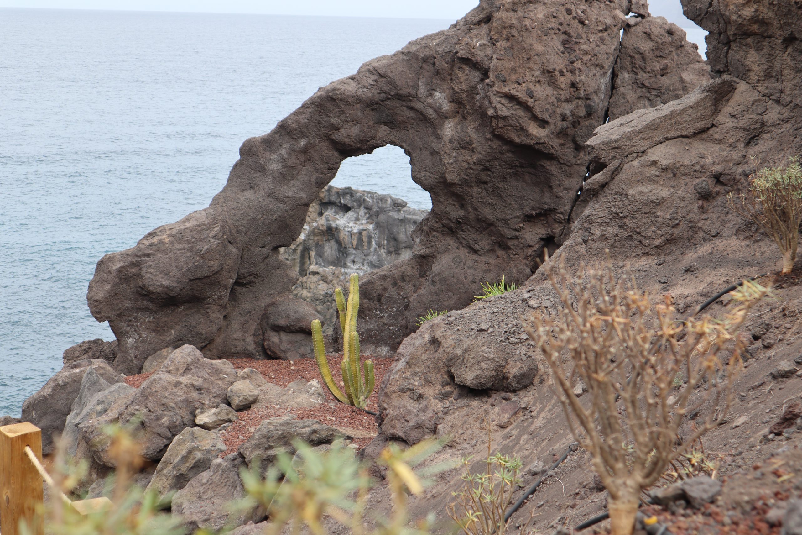 playa-acantilados-gigantes-tenerife