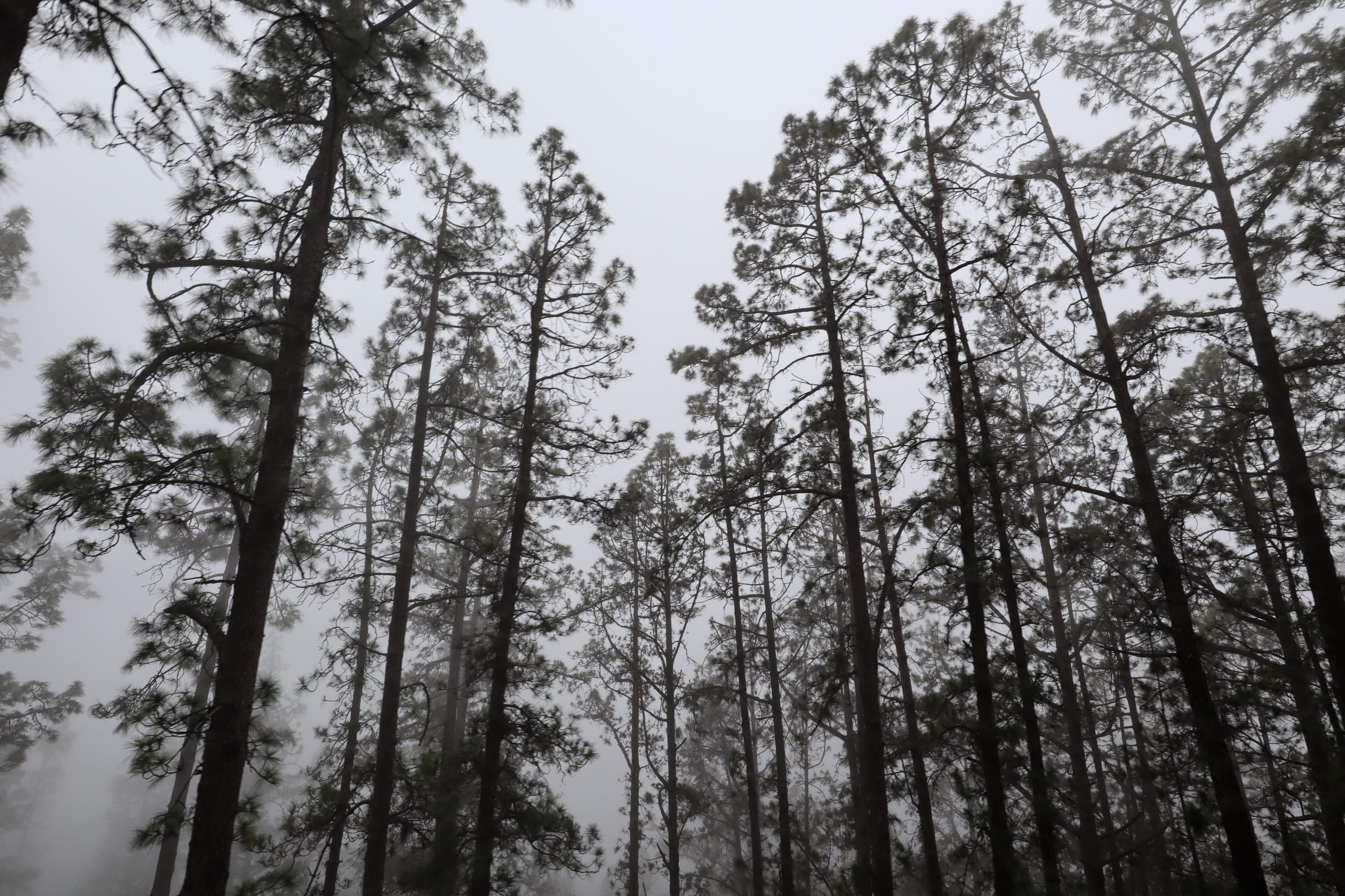 parque-nacional-del-teide