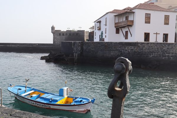 Puerto de la Cruz en un día