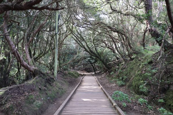 Una ruta por el Parque Rural de Anaga