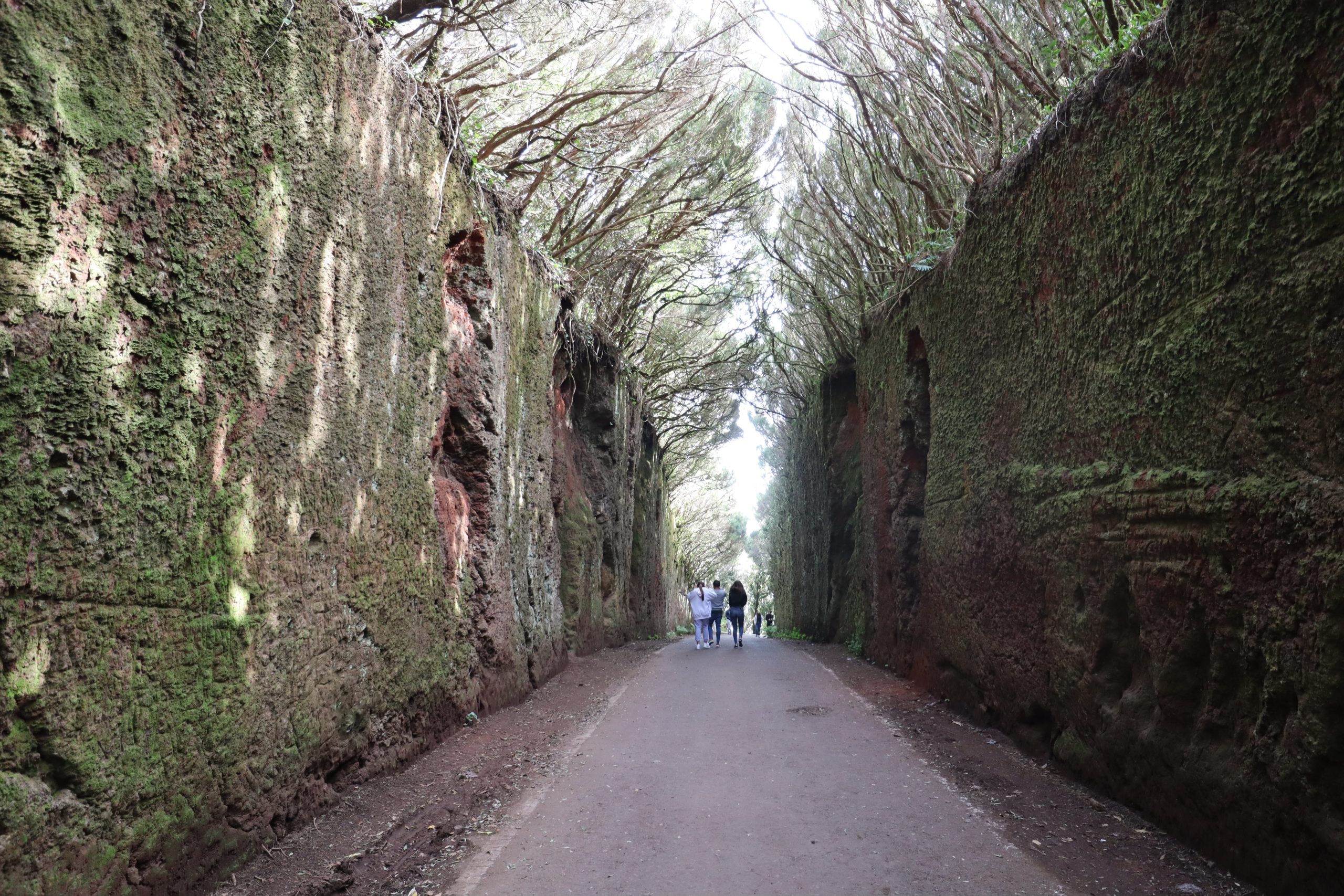 camino-viejo-pico-del-ingles