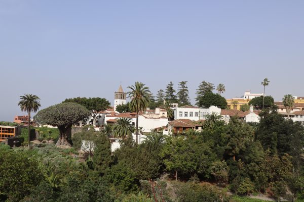 Icod de los Vinos, el pueblo del Drago Milenario