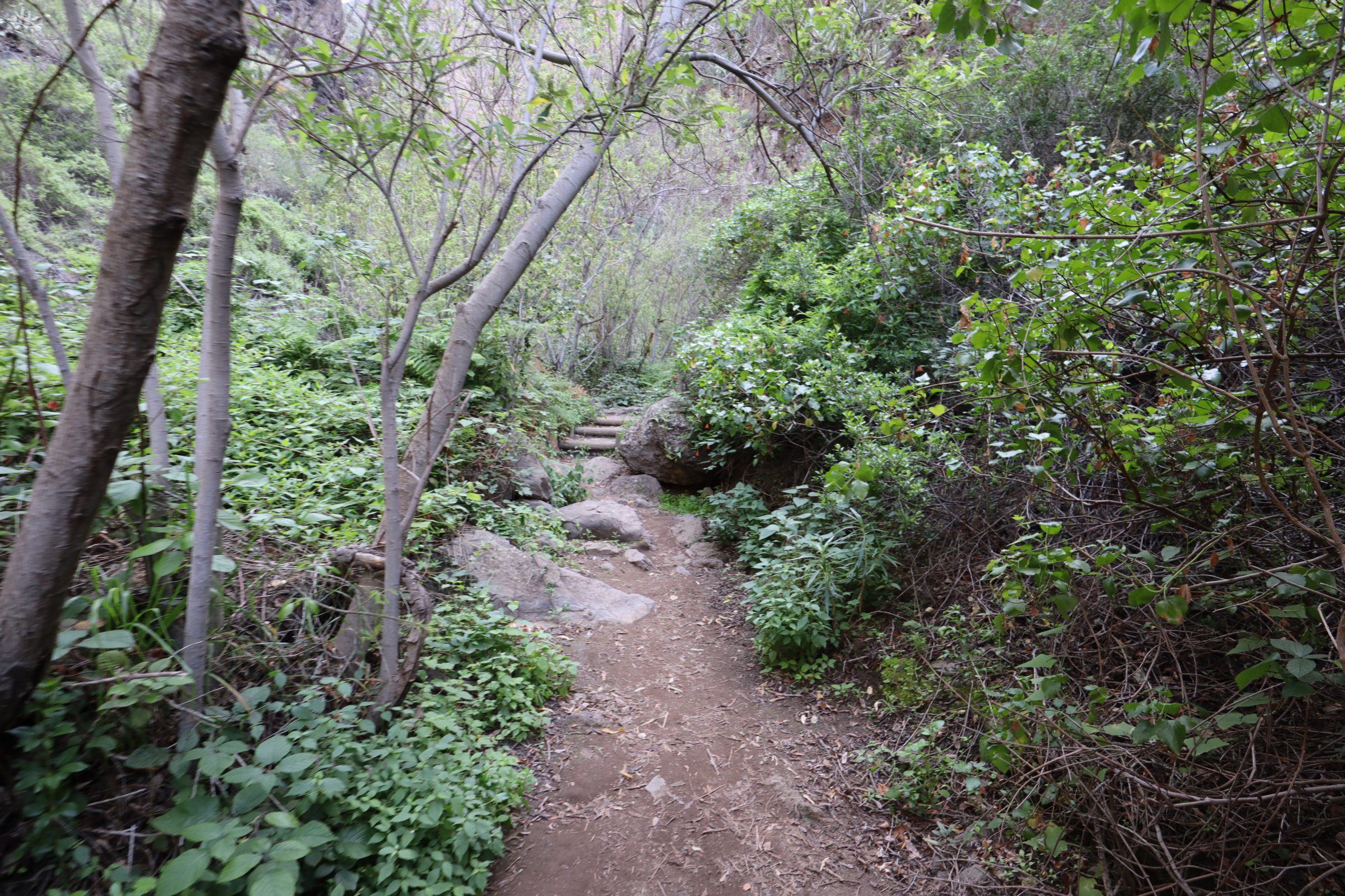 descenso-barranco-del-infierno