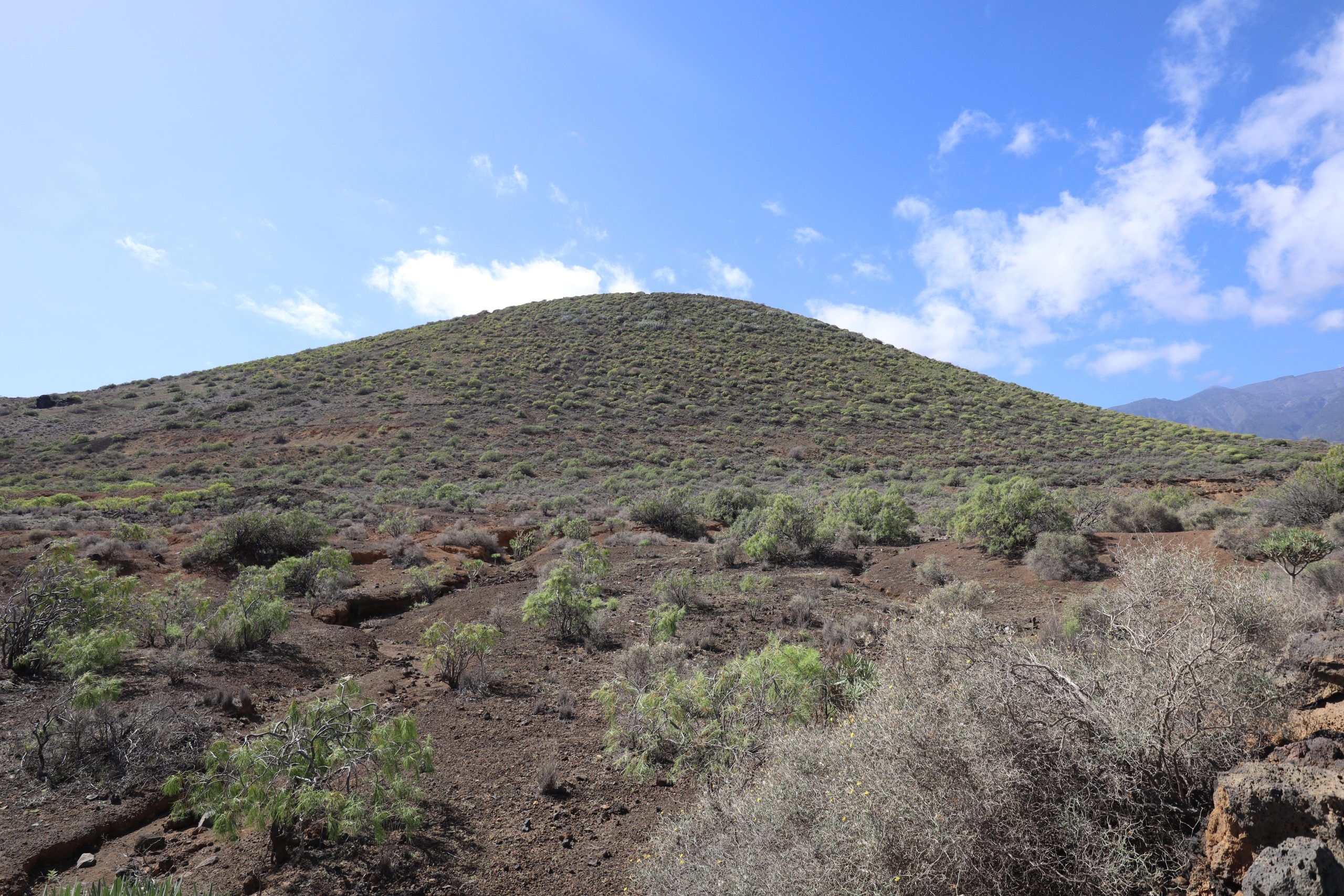 volcán-del-socorro