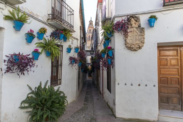 Qué ver en los Patios de Córdoba