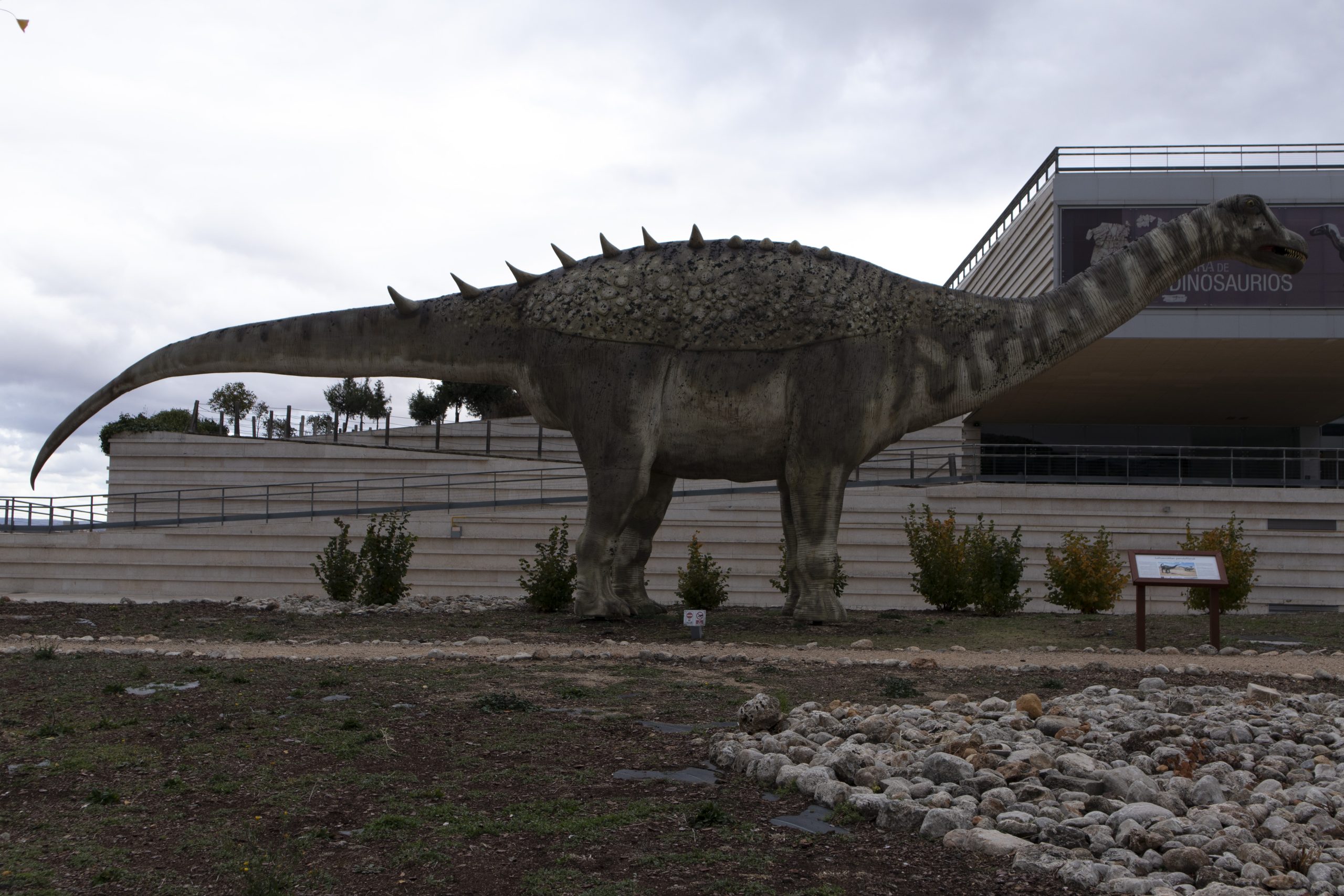 museo-paleontológico-Castilla-Mancha-cuenca