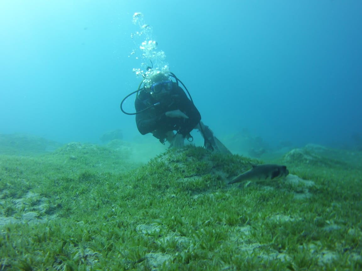 buceo-aqaba
