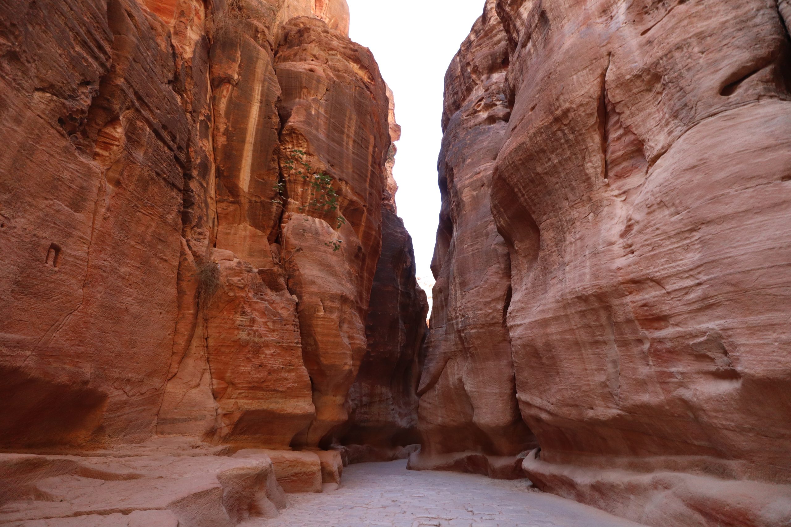 cañon-siq-jordania