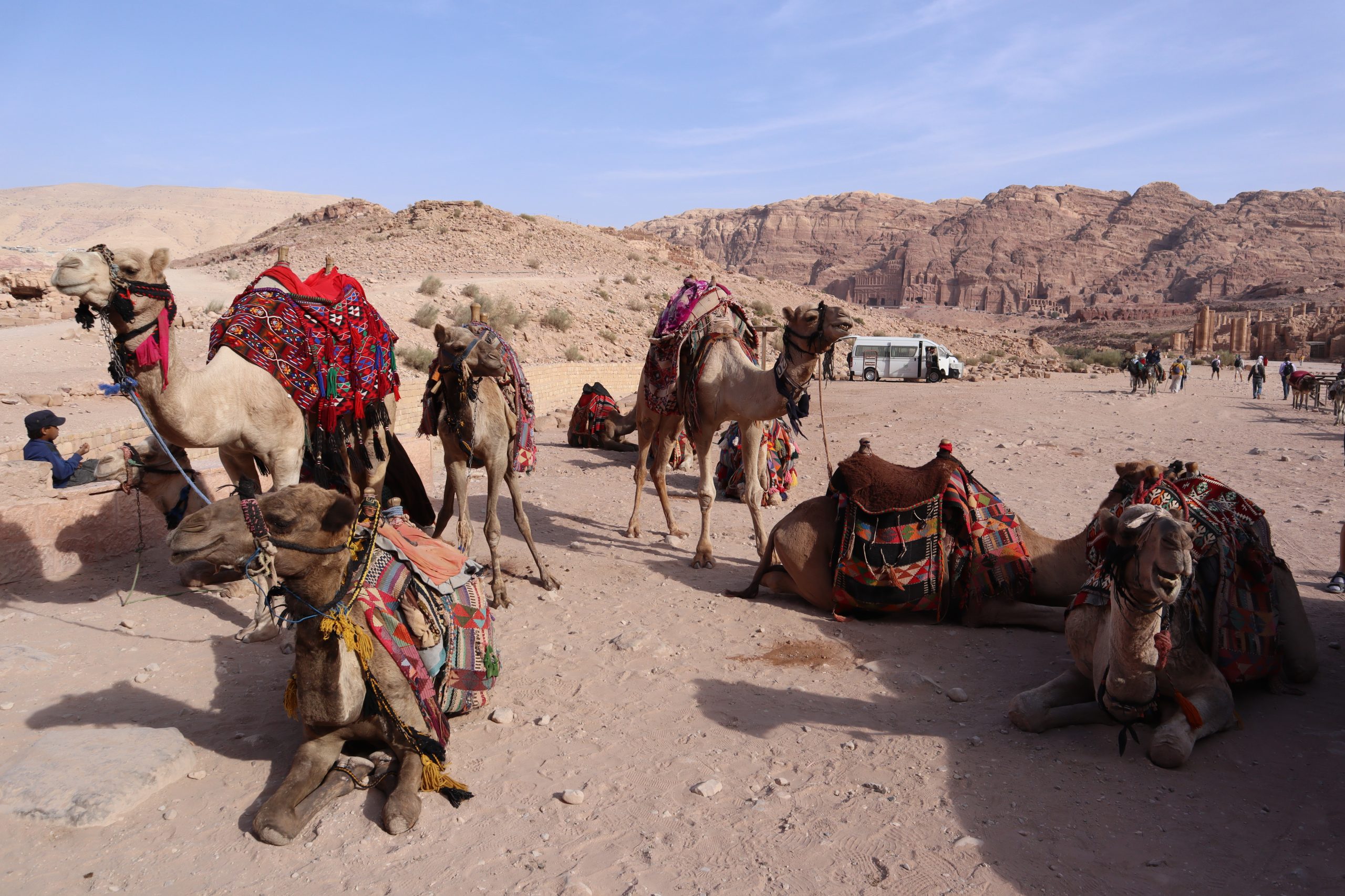 camellos-en-petra