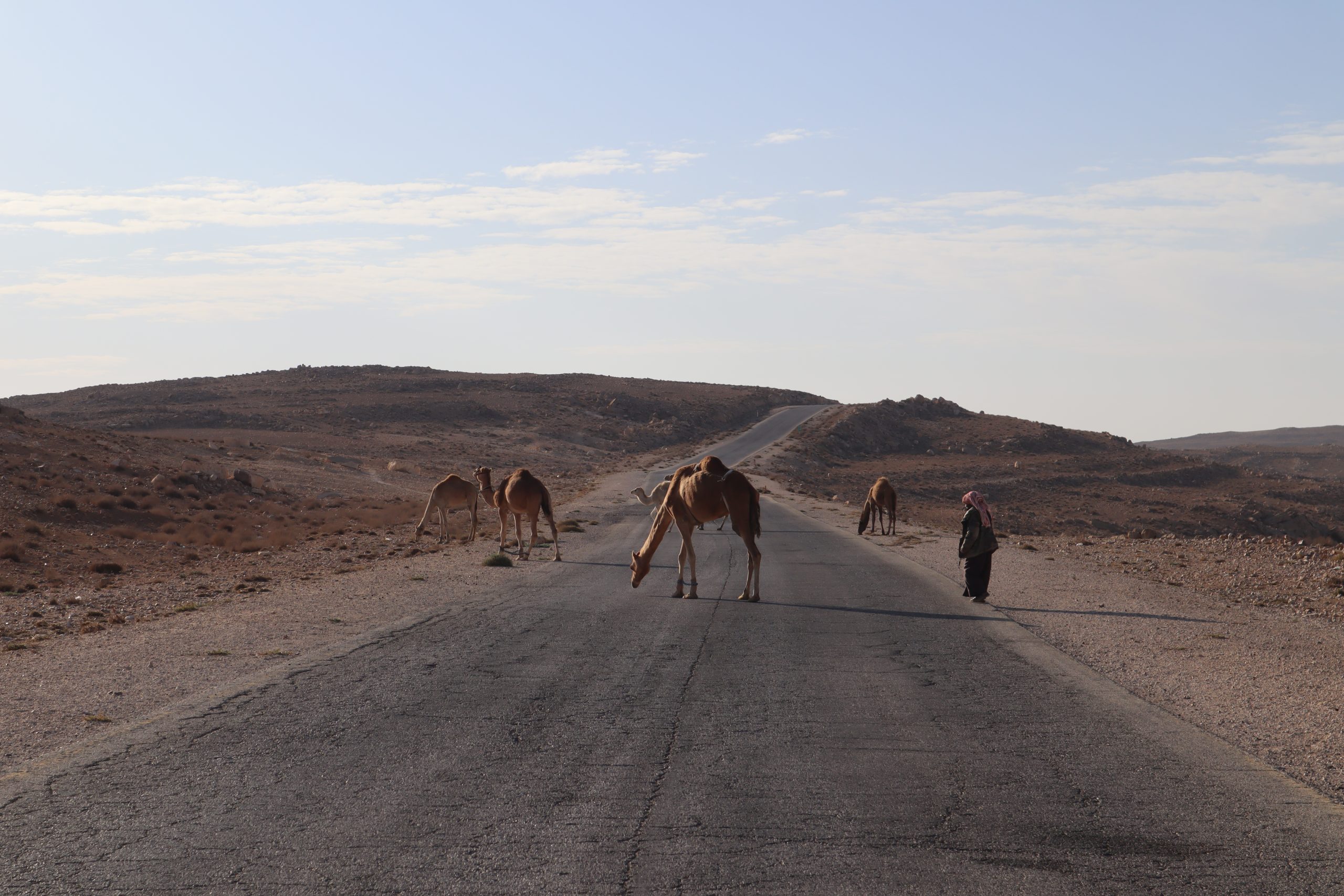 ruta-jordania