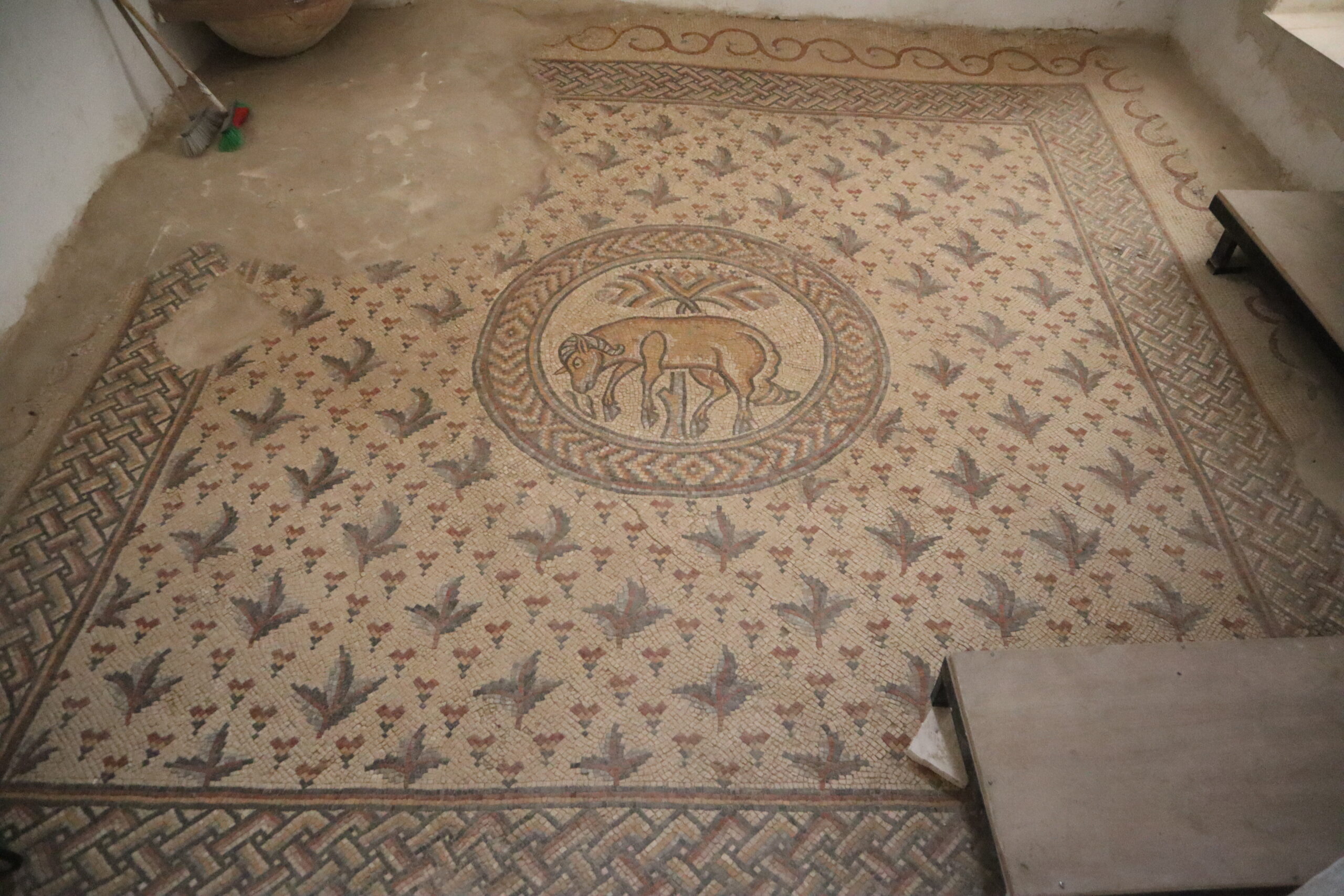 mosaicos-en-madaba