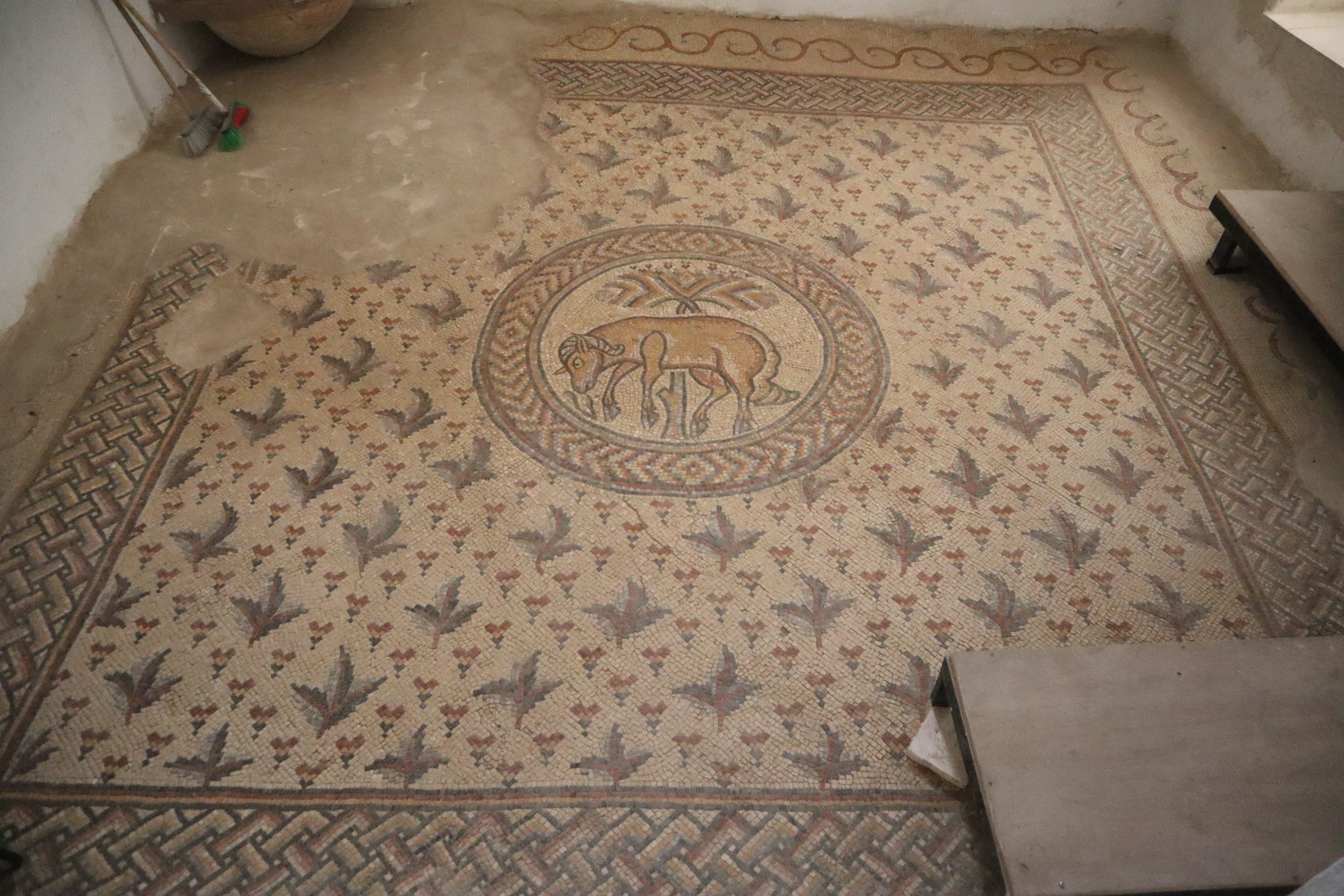 museo-arqueológico-madaba