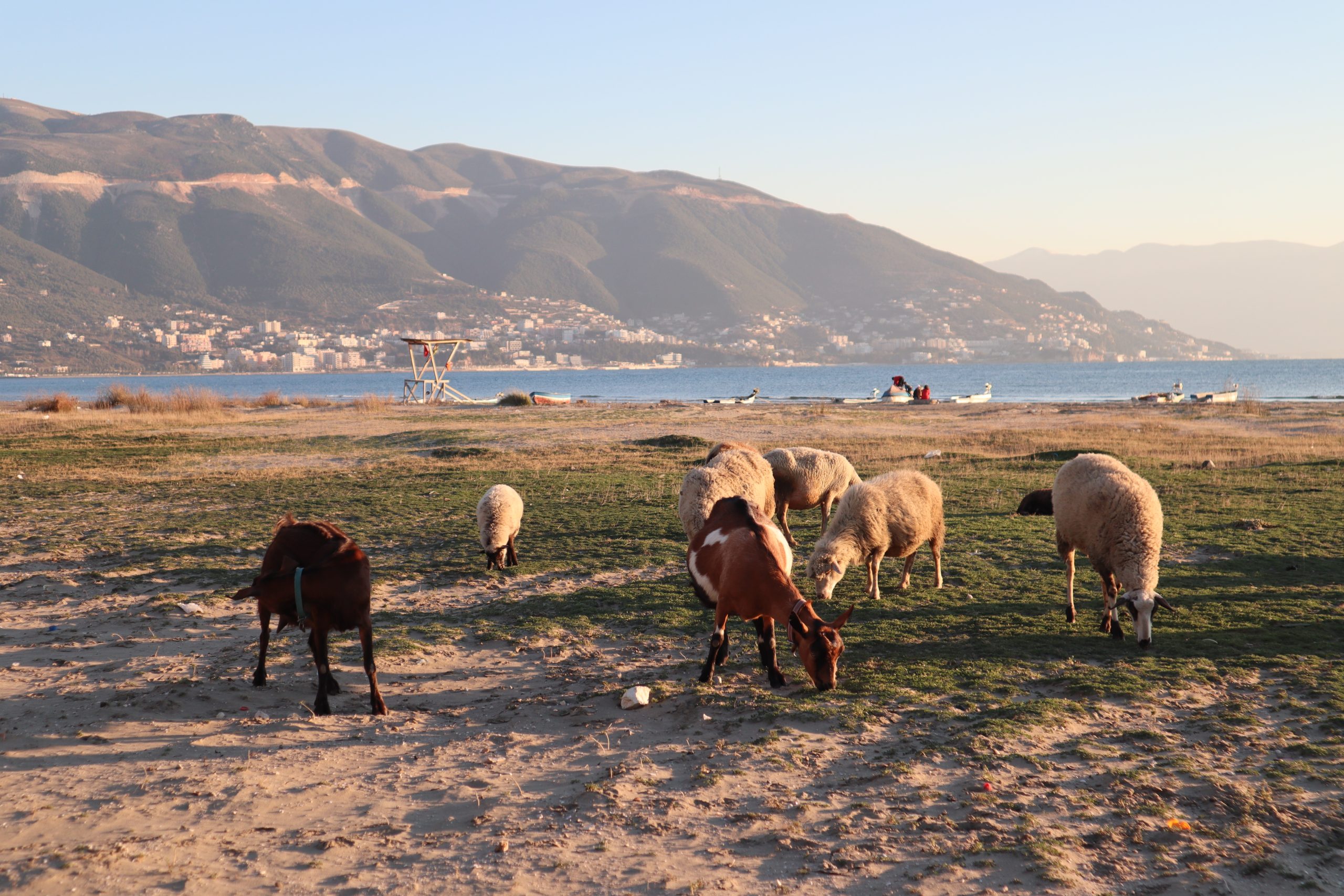 playa-vlore-albania