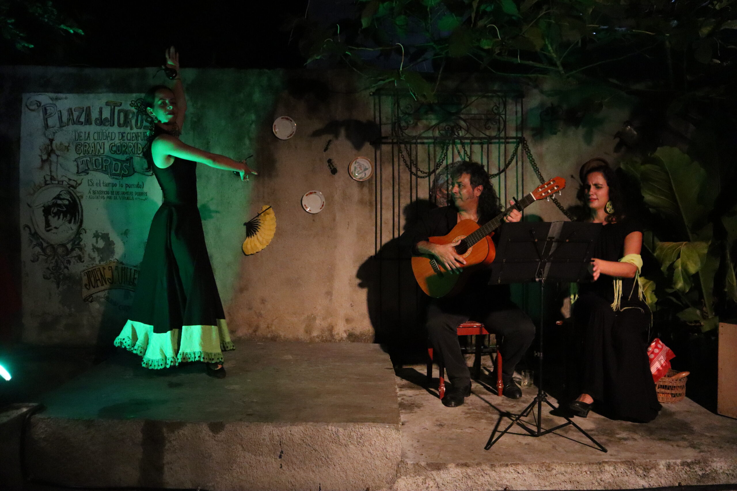 show-flamenco-joel-zamora