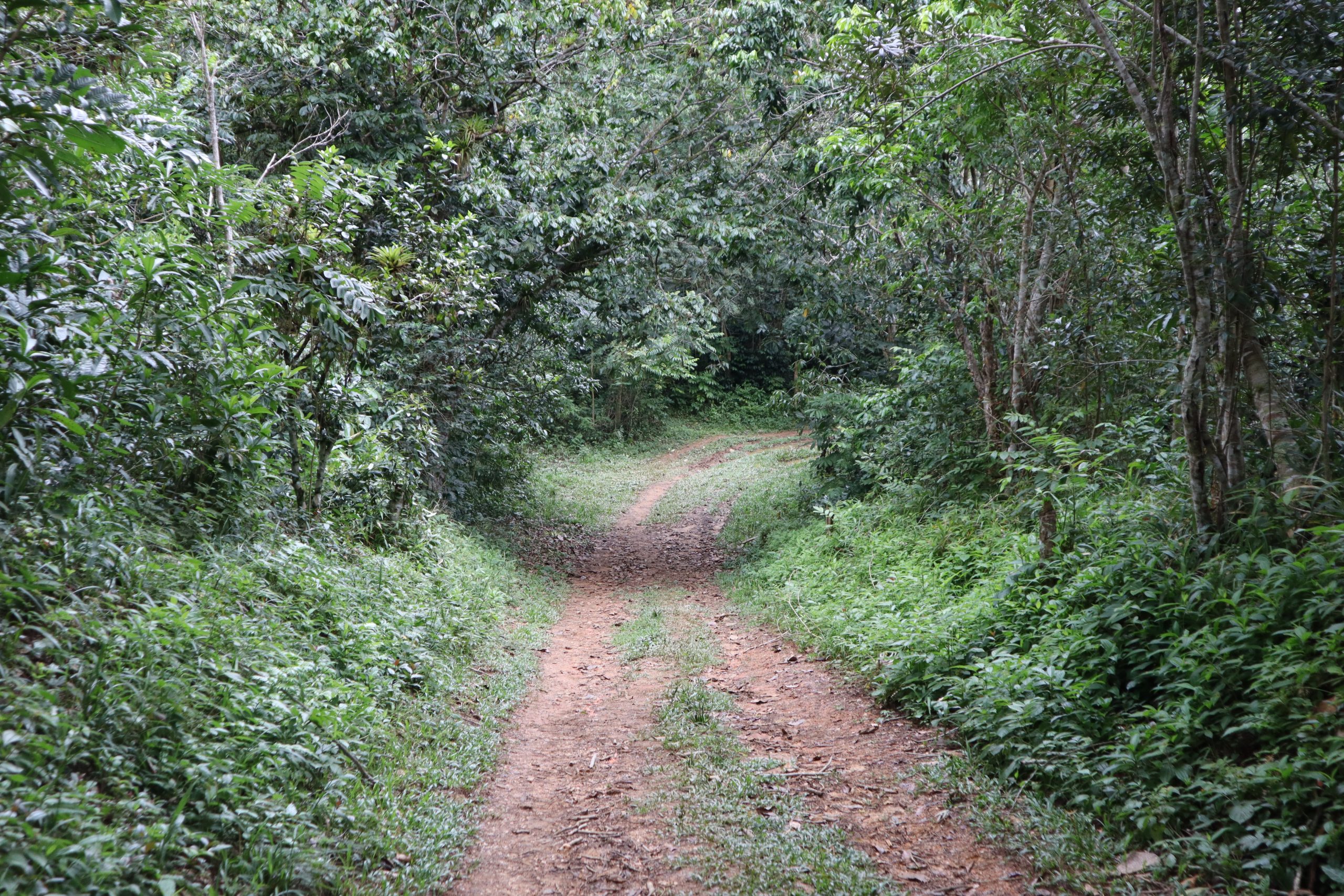 ruta-topes-collantes