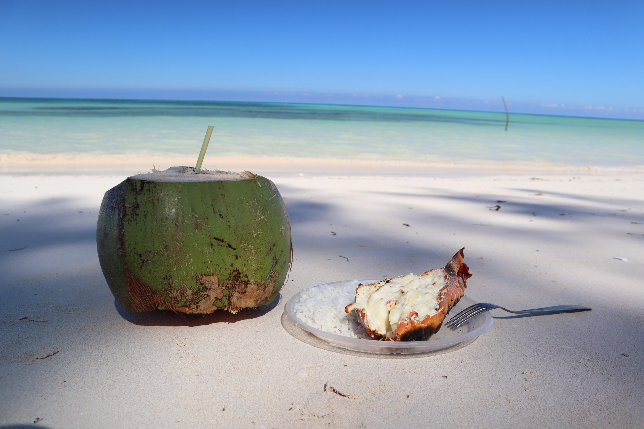 donde-comer-cayo-jutias