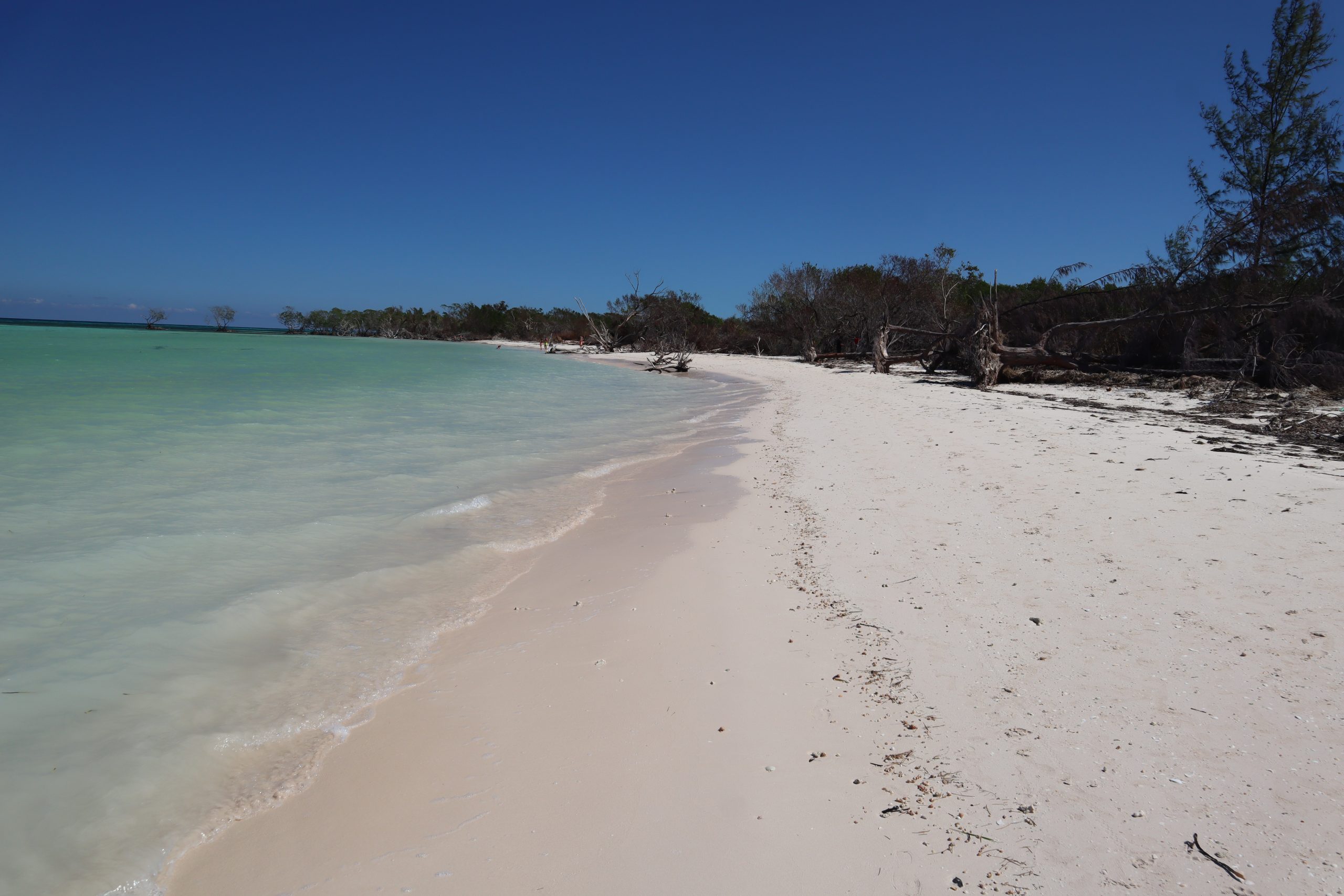 playa-cayo-jutias-Cuba