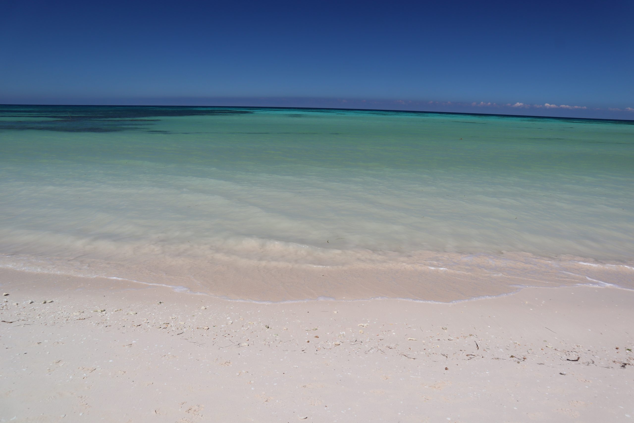 como-ir-a-cayo-jutias