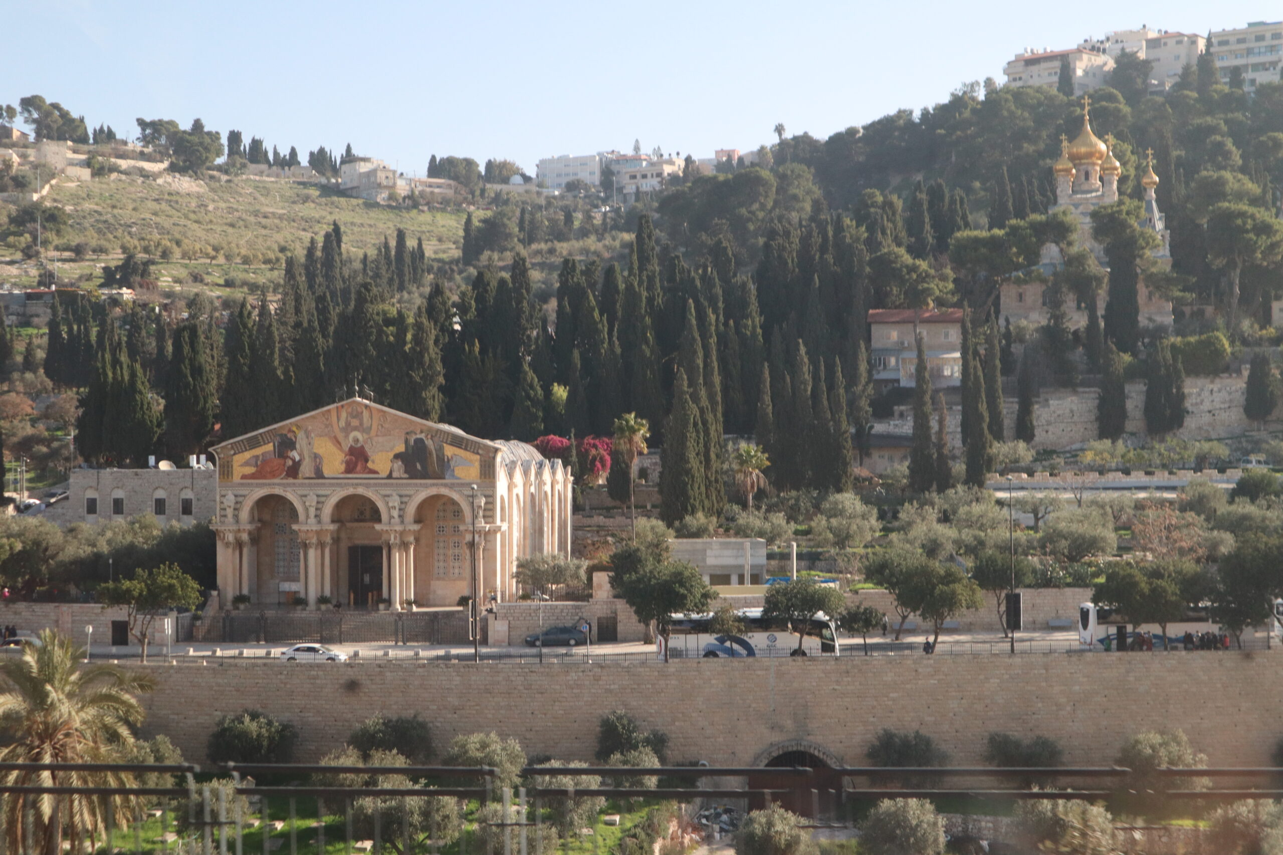 visita-monte-olivos-jerusalen