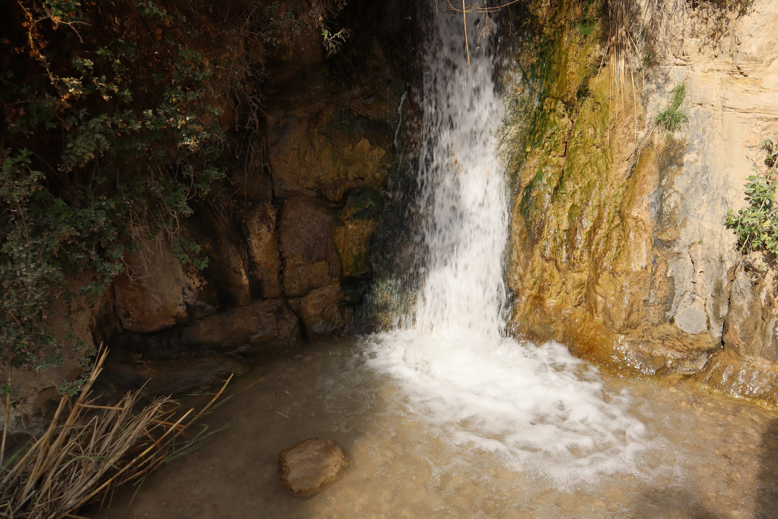 excursion-ein-gedi-israel