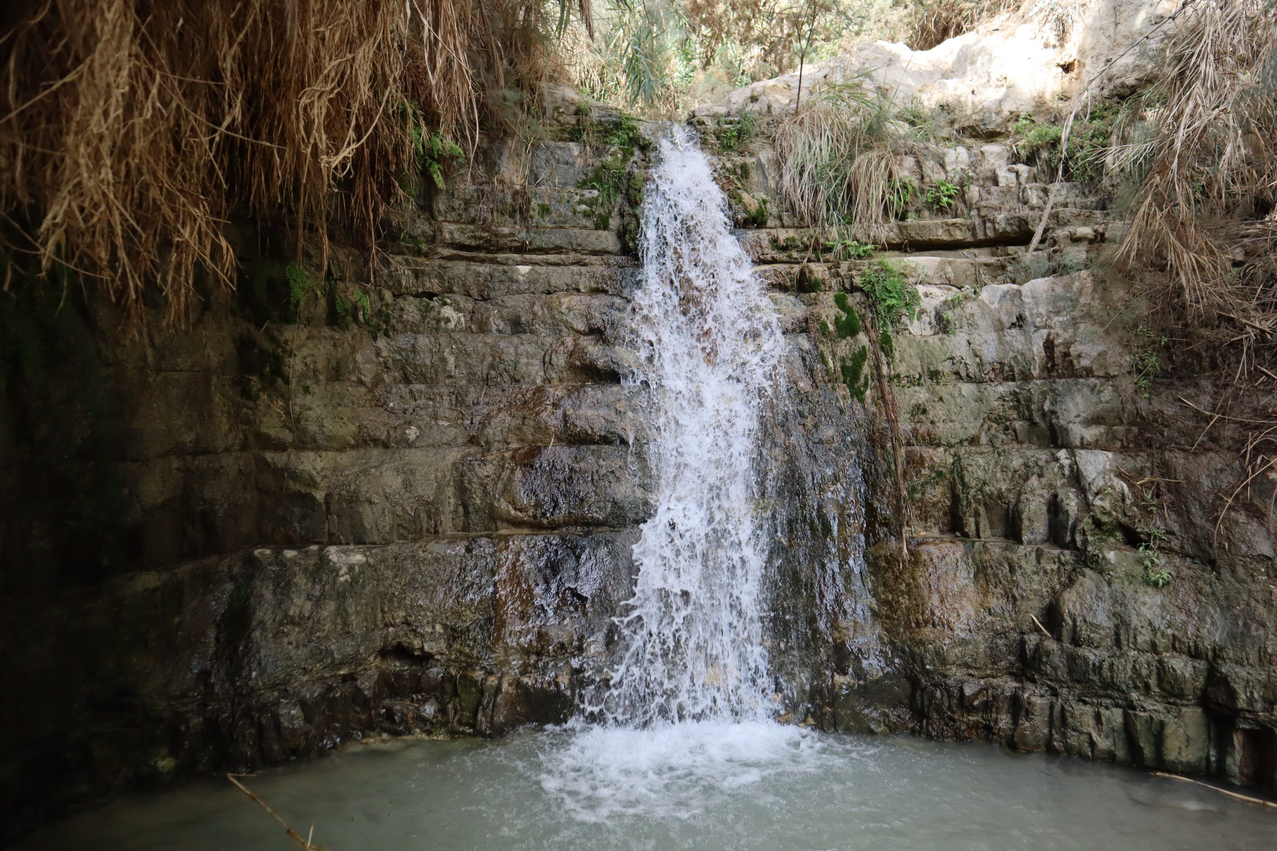 como-ir-ein-gedi-israel