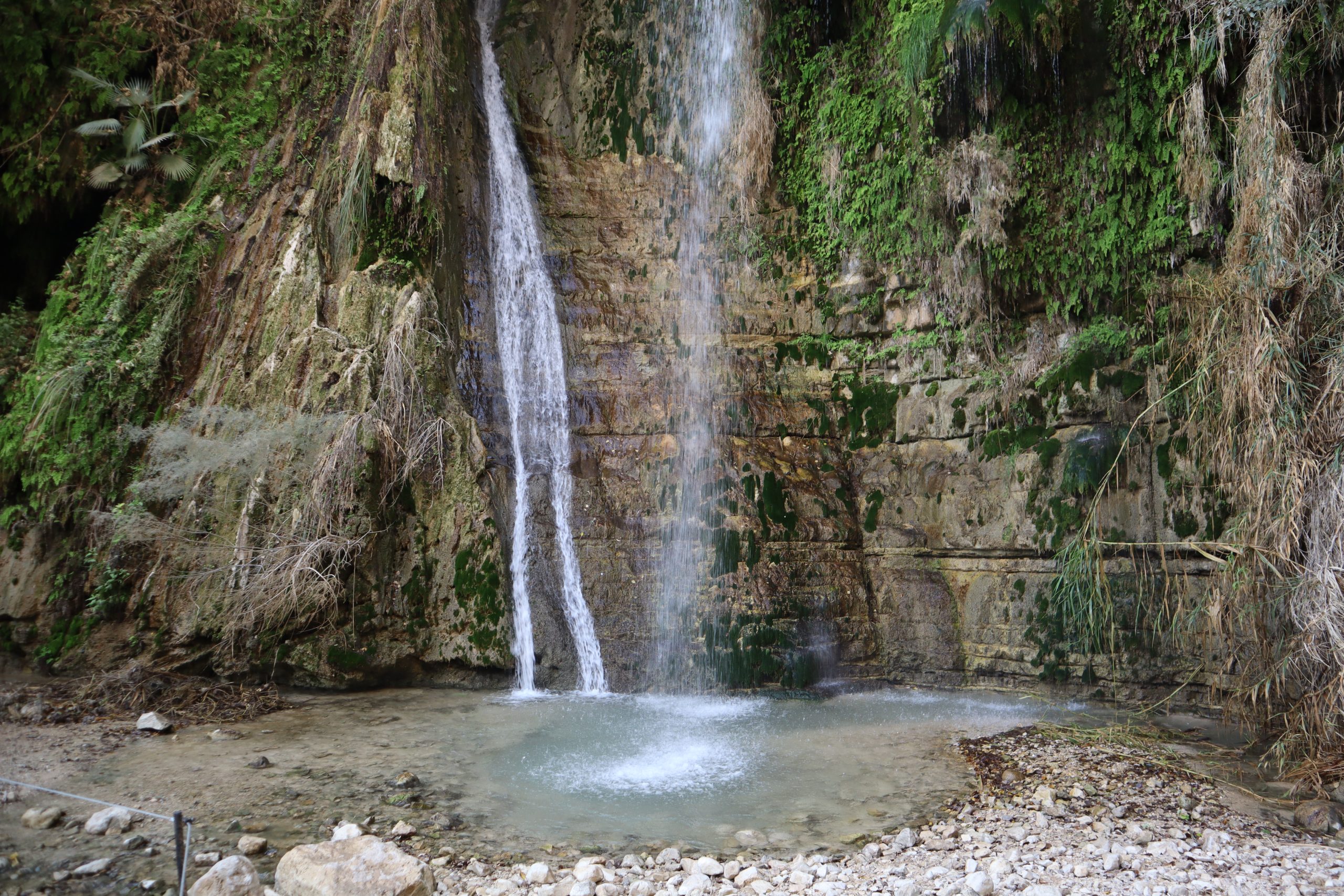 oasis-ein-gedi-israel