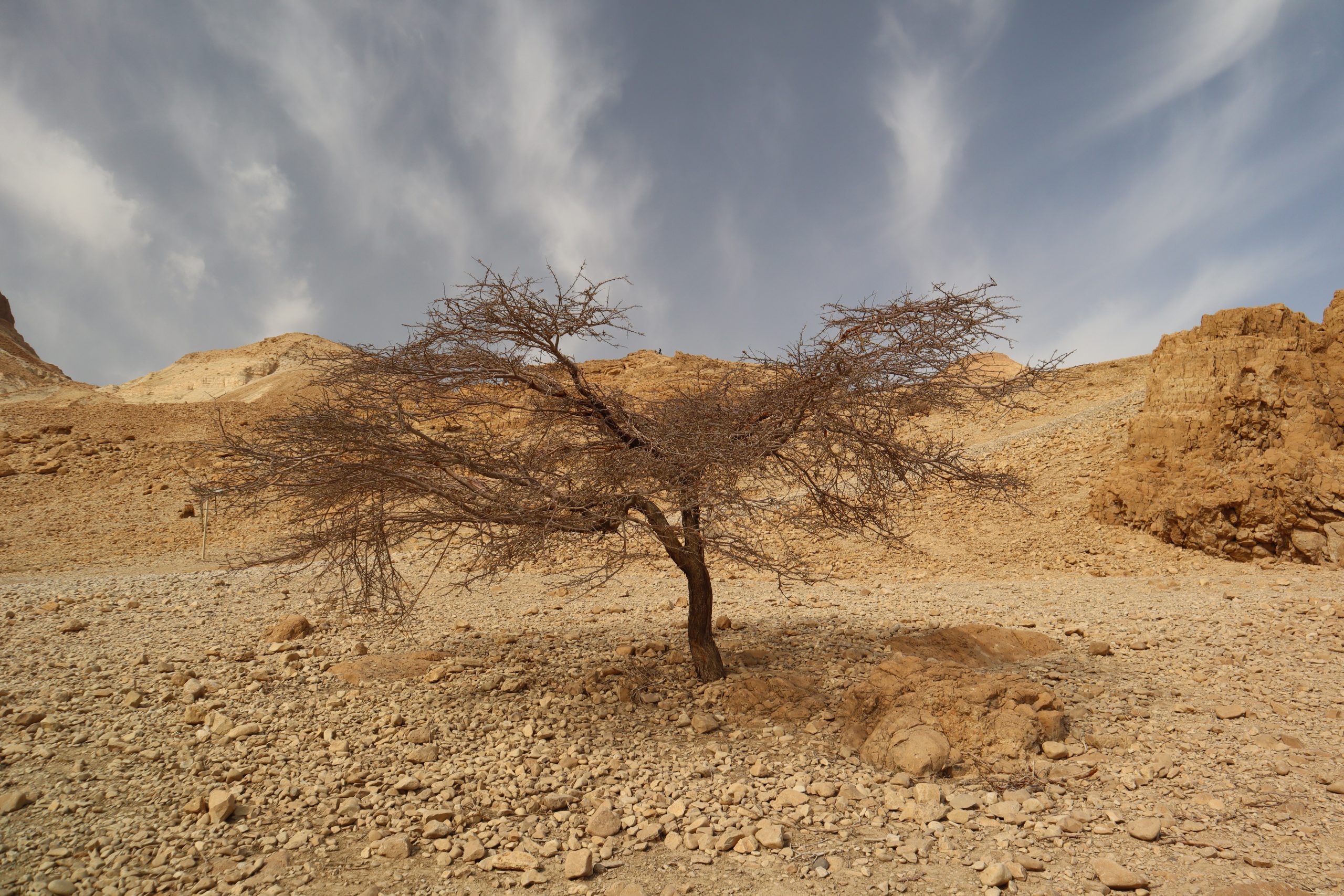 trekking-ein-gedi-israel