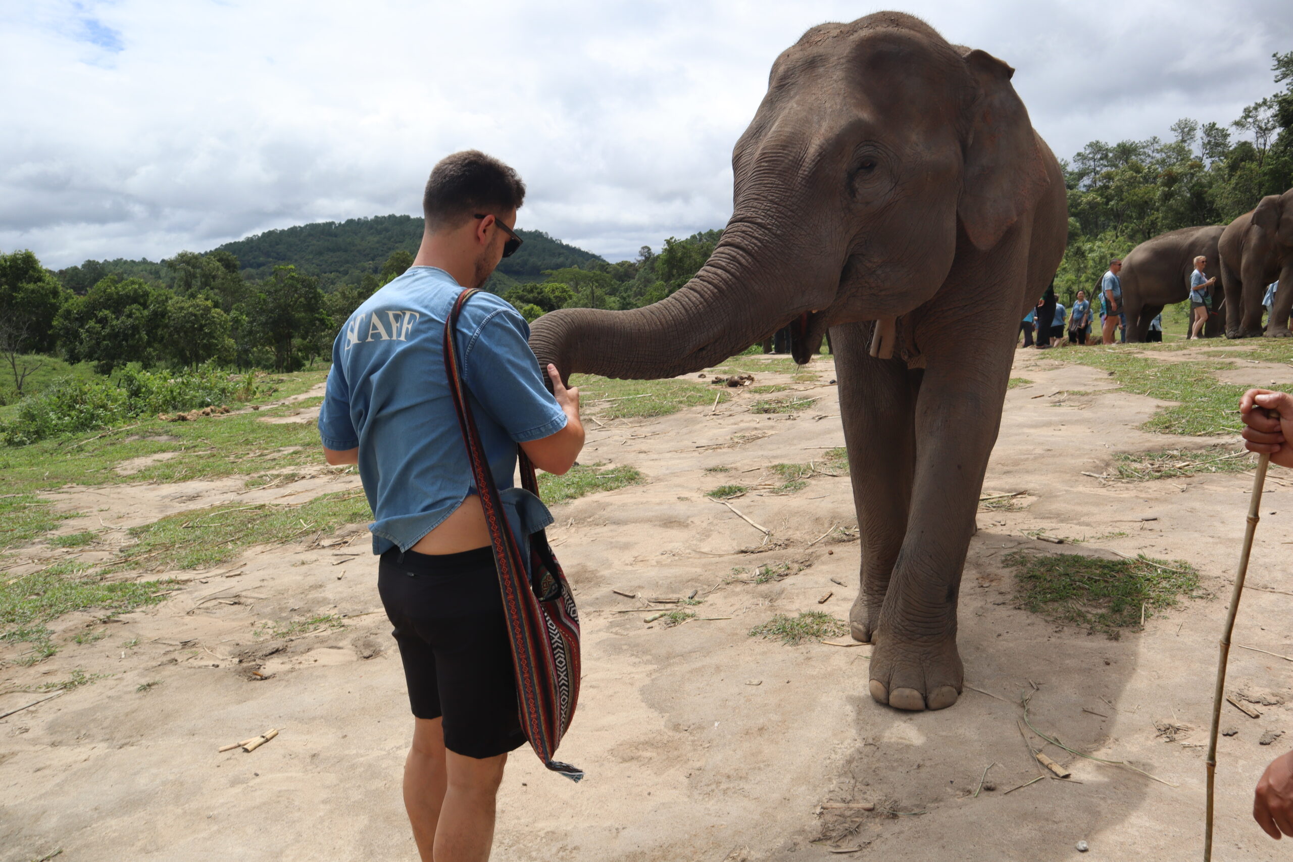 santuario-elefantes-chiang-mai