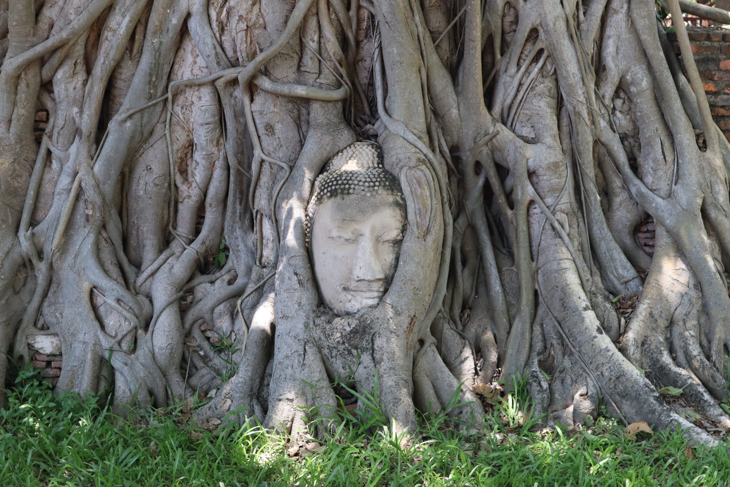 como-ir-a-ayutthaya