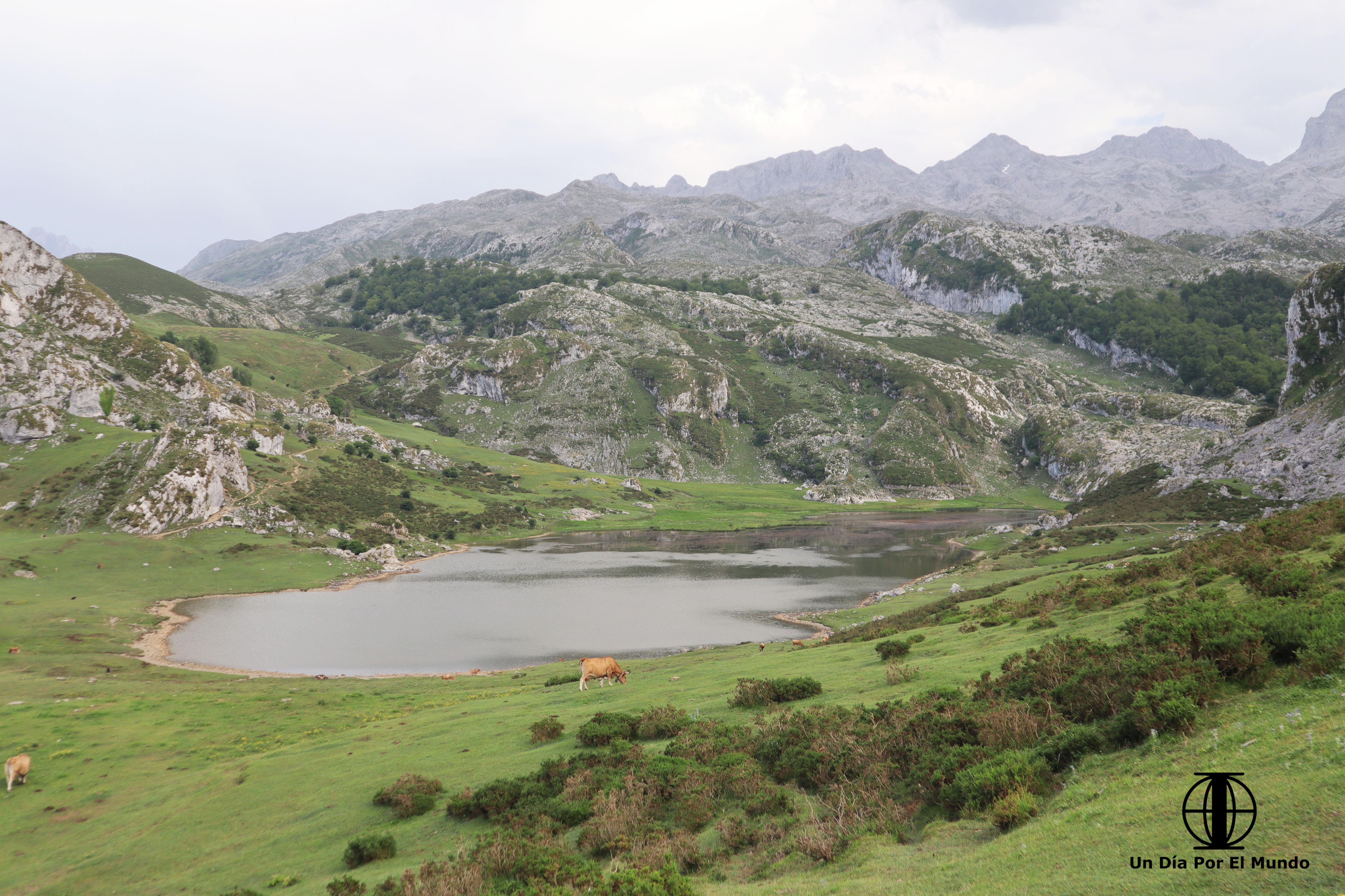 excursiones en oviedo