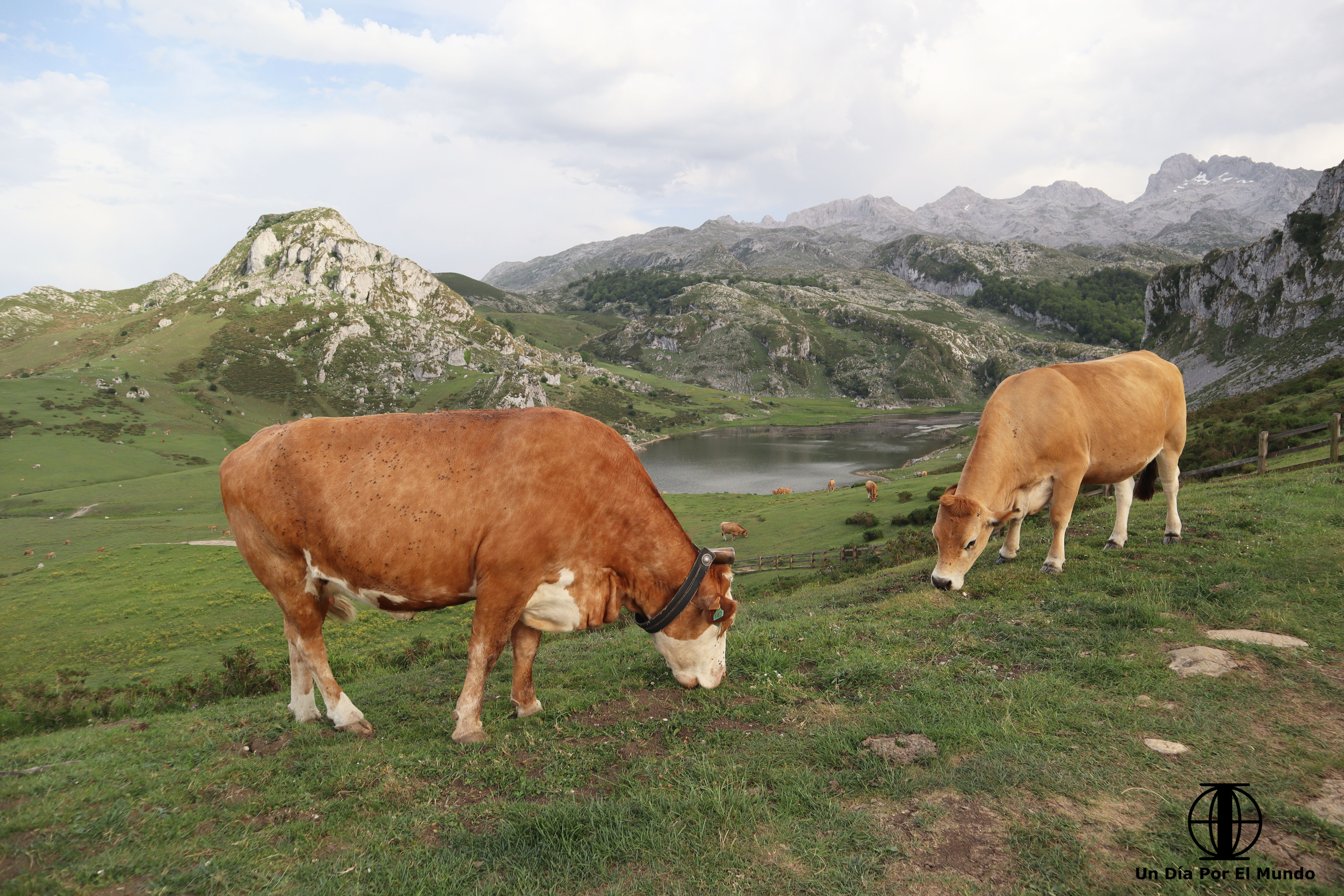 ruta en coche por asturias