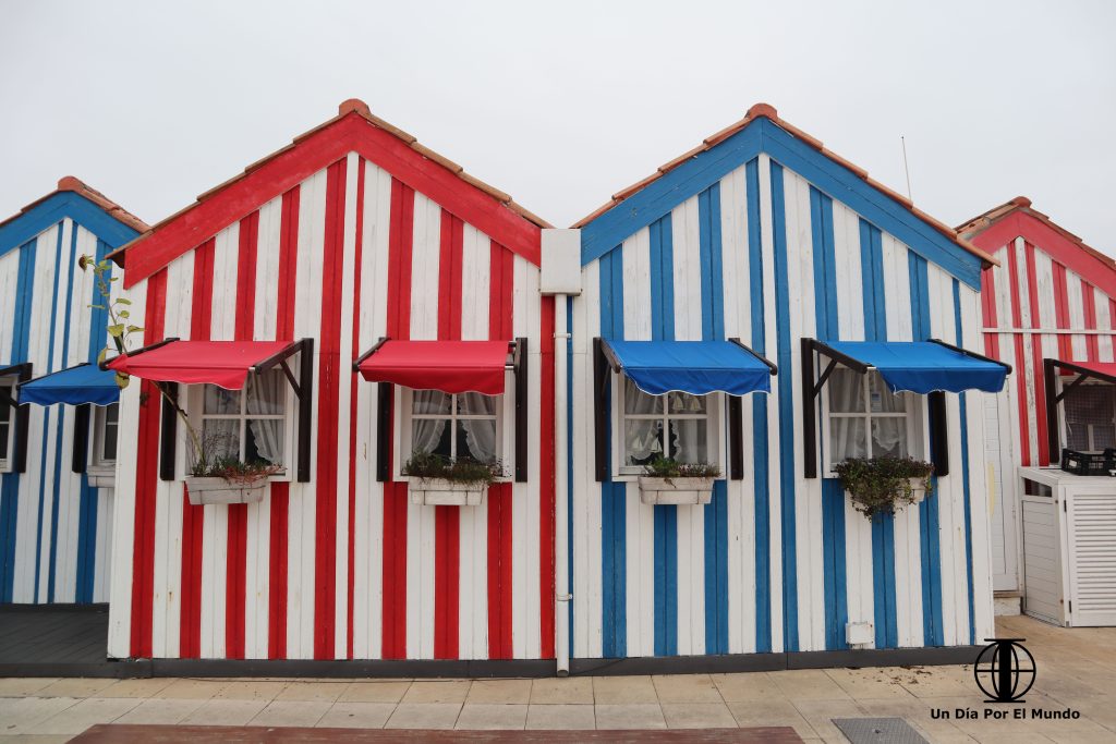 tours y excursiones en oporto